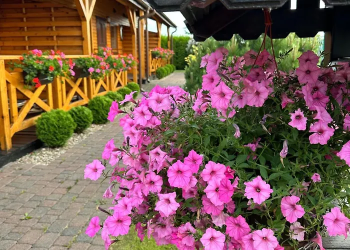 Alojamento de Turismo Selvagem Marlin Rewal